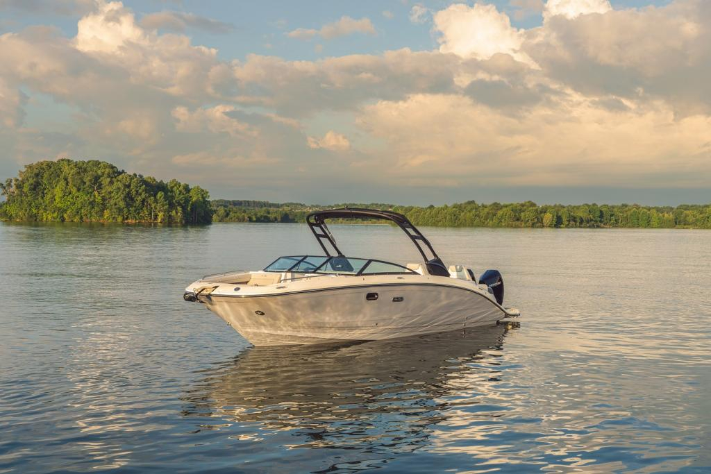 8170939-large 8170939-large