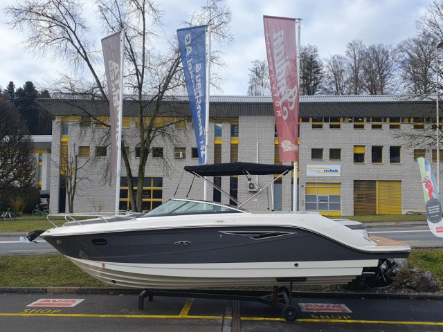 Sea Ray Sun Sport 250 Europe