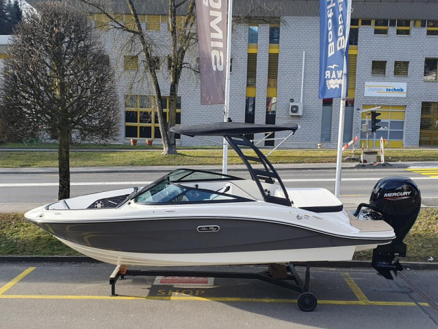 Sea Ray SPX 190 Outboard